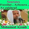 Mohammad Ayub - Sourate Achoura, Pt. 2 (English Translation)