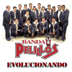 Banda Pelillos - Mi Vida Sin Ti