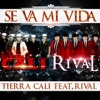 Se Va Mi Vida (feat. Rival) - Single