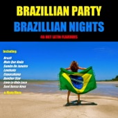 Brazilian Party Brazilian Night artwork