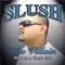 For My Thugz (feat. Mr. Knightowl, Mr. Shadow) - Slush the Villain lyrics