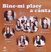 Bine-Mi Place a Canta