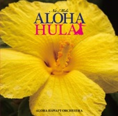 HAAHEO KAIMANA HILA artwork