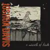 A Miracle of Birds album lyrics, reviews, download