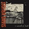 99 Names - Joshua Davis lyrics