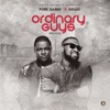 Ordinary Guys (feat. Skales) - Single, 2016