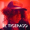 El Tigeraso - EP artwork
