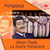 Momposina artwork