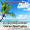 Instant Stress Relief Guided Meditation - The Honest Guys lyrics