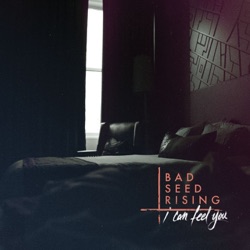 Bad Seed Rising - I Can Feel You