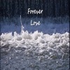 Forever Love - Single