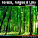 Light Wind Rustling Aspen Tree Leaves in Forest - Digiffects Sound Effects Library