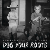 Florida Georgia Line - Dig Your Roots artwork