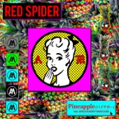 Pineapple(パイナポー) feat. APOLLO, KENTY GROSS, BES artwork