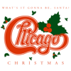 Chicago Christmas: What's It Gonna Be Santa - Chicago