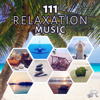 111 Relaxation Music: Sound Therapy for Zen Meditation, Yoga, Spa, Massage & Reiki, New Age Ambience for Deep Sleep, Study & Mindfulness - Relaxing Zen Music Ensemble