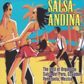Salsa Andina artwork