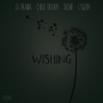 songs like Wishing (feat. Chris Brown, Skeme & Lyquin)