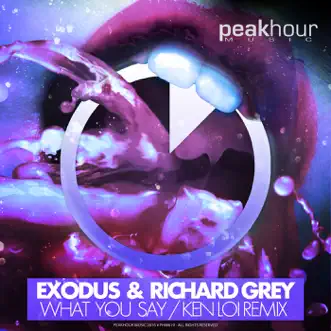 What You Say (Ken Loi Remix) - Single by Exodus & Richard Grey album reviews, ratings, credits