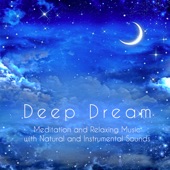 Deep Dream: Meditation and Relaxing Music Compilation to Help You Sleep with Natural and Instrumental Sounds artwork