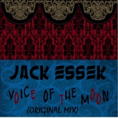 Voice of the Moon artwork