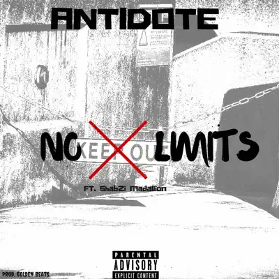 No Limits (feat. ShabZi Madallion) - Single - Antidote