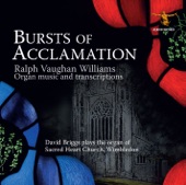 Bursts of Acclamation