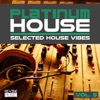 Platinum House - Selected House Vibes, Vol. 5