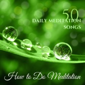 How to Do Meditation - 50 Daily Meditation Songs (New Age Relaxing Collection) artwork