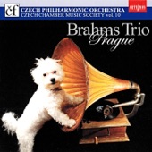 Trio in E-Flat Major, Op. 40: II. Allegro artwork