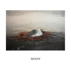 Moon by Moon album reviews, ratings, credits