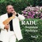 Autum Leaves - Radu Constantin lyrics