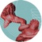 Pauseless (Matteo Spedicati Remix) - TVA lyrics