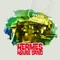 Back to Brazil - Hermes House Band lyrics
