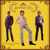 The Summer Hits - Beaches and Canyons