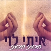 חיכיתי חיכיתי artwork