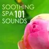 Soothing Spa Sounds 101 - Serenity Massage Background Music for Healing Moments, Tribe Songs album lyrics, reviews, download