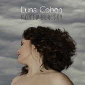 November Sky (feat. Jurandir Santana, Rob Luft, Sam Watts & Tony Cruz) artwork