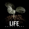 Stefano Ruggeri - Lifeblood