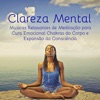 Clareza Mental - Musicas Relaxantes de Meditação para Cura Emocional Chakras do Corpo e Expansão da Consciência, Sons de Natureza Instrumentais New Age