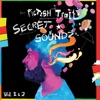 Secret Soundz, Vol. 1 & 2 artwork