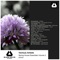 Marina - Tima lyrics