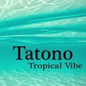 Tropical Vibe artwork