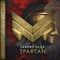 Spartan - Sandro Silva lyrics