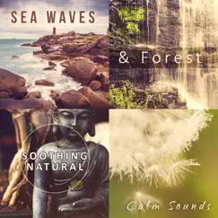 Sea Waves & Forest: Soothing Natural Calm Sounds – Meditation Music, Spiritual Healing, Zen, Distress, Delta Waves, Trouble Sleeping, Dreaming, Relaxing Rain Sounds by Just Relax Music Universe album reviews, ratings, credits