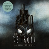 Who's Afraid of Detroit? - 10th Anniversary Remixes artwork