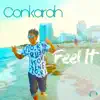 Feel It (Remixes) - EP album lyrics, reviews, download