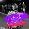 Catwalk (feat. Captain Planet) - Single album lyrics, reviews, download