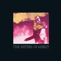 When You Don't See Me - Single - The Sisters Of Mercy