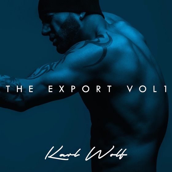 Cover artwork for The Export